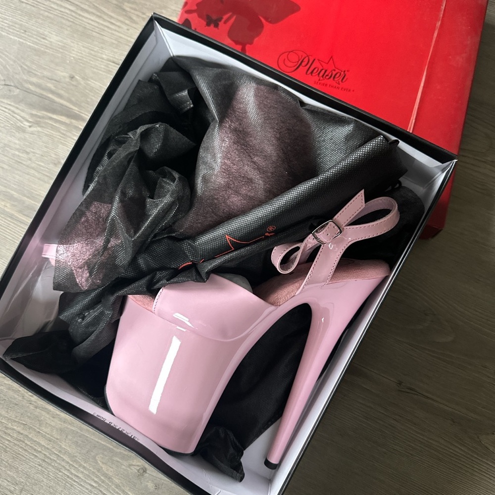 Flamingo 809